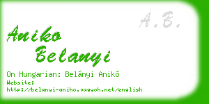 aniko belanyi business card
